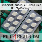 Comment Utiliser La Gelée Orale 100 Mg Kamagra 07